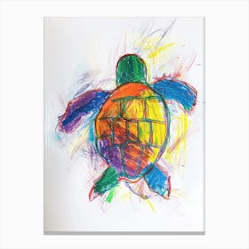 Minimalist Rainbow Turtle Doodle Canvas Print