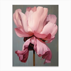 Floral Illustration Cyclamen 1 Canvas Print