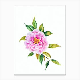 Camellia Watercolour Flower Canvas Print