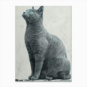 Russian Blue Cat Relief Illustration 1 Canvas Print