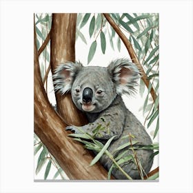 Koala Canvas Print