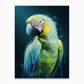 Parrot 3 Canvas Print