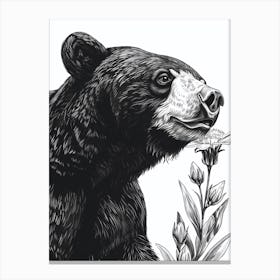 Malayan Sun Bear Sniffing A Flower Ink Illustration 4 Canvas Print