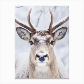 Deer In The Snow 1 Canvas Print