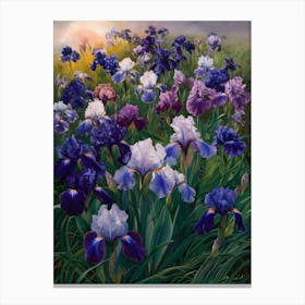 Iris Field Canvas Print