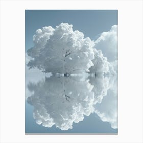 Infrared Photography 1 Canvas Print