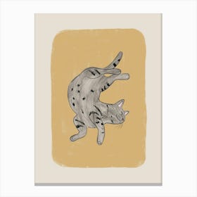 Grey Cat Canvas Print