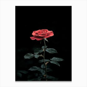 Black Rose 1 Canvas Print