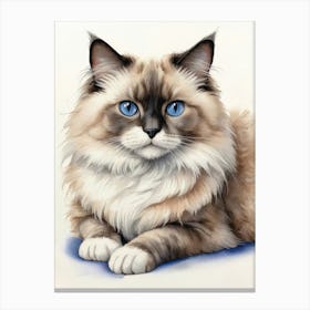 Ragdoll Cat With Blue Eyes Canvas Print