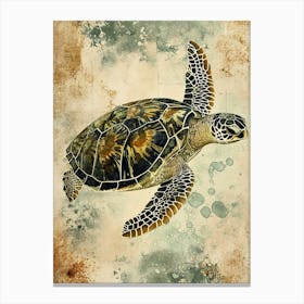 Vintage Green Sea Turtle Painting 2 Canvas Print
