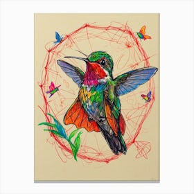 Hummingbird 16 Canvas Print