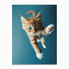 Kitten In The Air Canvas Print