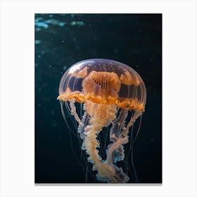 Jellyfish 9 Canvas Print