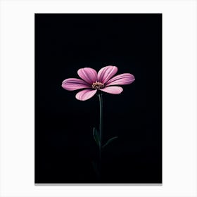 Pink Flower On Black Background 1 Canvas Print