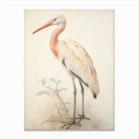 Vintage Bird Drawing Stork 1 Canvas Print
