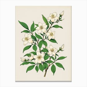 Blossoming Cherry Tree Canvas Print