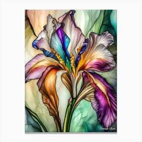 Colorful Iris Canvas Print