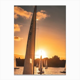 Sailboats At Sunset on Alster Lake, Hamnirh Canvas Print