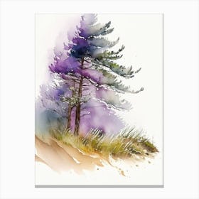 Running Pine Wildflower Watercolour 2 Canvas Print