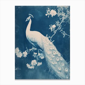 Floral White & Blue Peacock 1 Canvas Print