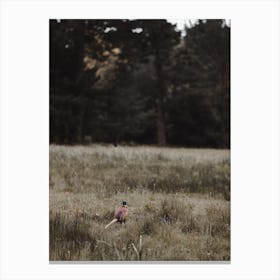 Pheasant Near Forest Canvas Print