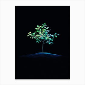 Tree In The Dark 24 Canvas Print