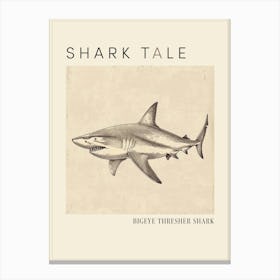 Bigeye Thresher Shark Vintage Illustration 4 Poster Canvas Print