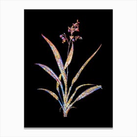 Stained Glass Flax Lilies Mosaic Botanical Illustration on Black n.0064 Canvas Print