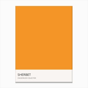 Sherbet Colour Block Poster Canvas Print