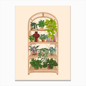 Plant Shelf 9 Canvas Print