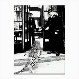 Panther In Restaurant 1950 Black And White Canvas Print