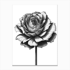 A Carnation In Black White Line Art Vertical Composition 26 Canvas Print