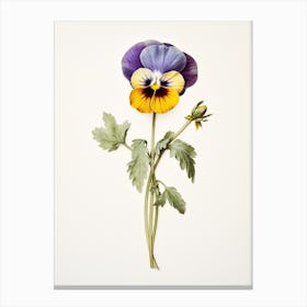 Pressed Wildflower Botanical Art Wild Pansy Viola Canvas Print
