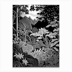 Smith College Botanic Garden, 1, Usa Linocut Black And White Vintage Canvas Print