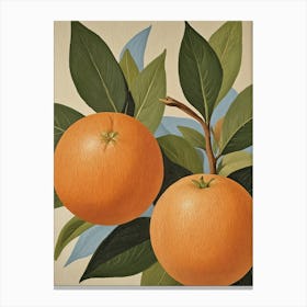 Oranges no2 Canvas Print