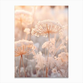 Frosty Botanical Queen Annes Lace 1 Canvas Print