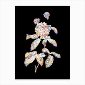 Stained Glass Agatha Rose in Bloom Mosaic Botanical Illustration on Black n.0050 Canvas Print