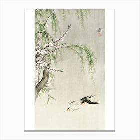 Swallows In Flight (1900 1930), Ohara Koson Canvas Print