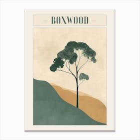 Boxwood Tree Minimal Japandi Illustration 2 Poster Canvas Print