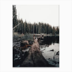 Log In Lake Canvas Print