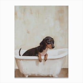 Dachshund In Bathtub Canvas Print