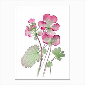 Geranium Floral Quentin Blake Inspired Illustration 1 Flower Canvas Print