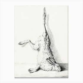 Dead Hare, Hanging From A Hind Leg, Jean Bernard Canvas Print