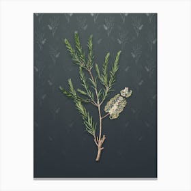 Vintage Swamp Paperbark Botanical on Slate Gray Pattern Canvas Print