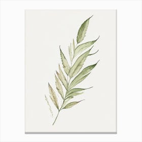 Vervain Leaf Minimalist Watercolour 3 Canvas Print