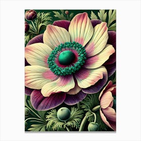 Anemone Flower Canvas Print