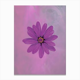 Purple Daisy Canvas Print