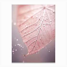 Rosy Leaf Canvas Print