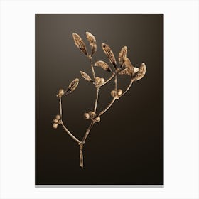Gold Botanical Viscum Album Branch on Chocolate Brown n.3029 Canvas Print