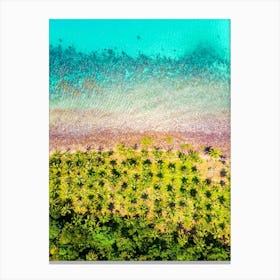 Greece. Aerial view #2 Canvas Print